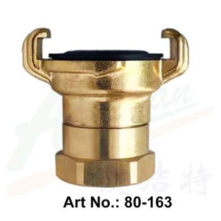 Brass Swivel Female Thread Coupling
